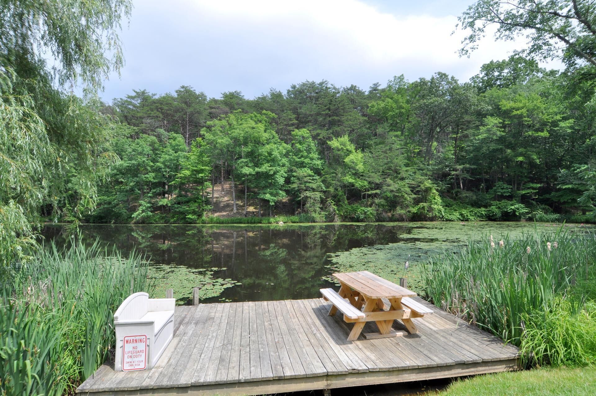 Cabin, Multiple Beds (Pondview Cabin - Log Cabin Retreat) | Property grounds