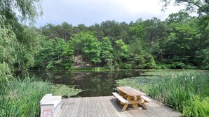 A wooden dock with a picnic table and a lifeguard warning sign. - Pondview Cabin - Log Cabin Retreat (Berkeley Springs)