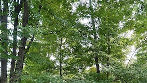 Hus, flere senger (Serendipity - Large 5BR with a Hot Tu) | Utendørs boblebad