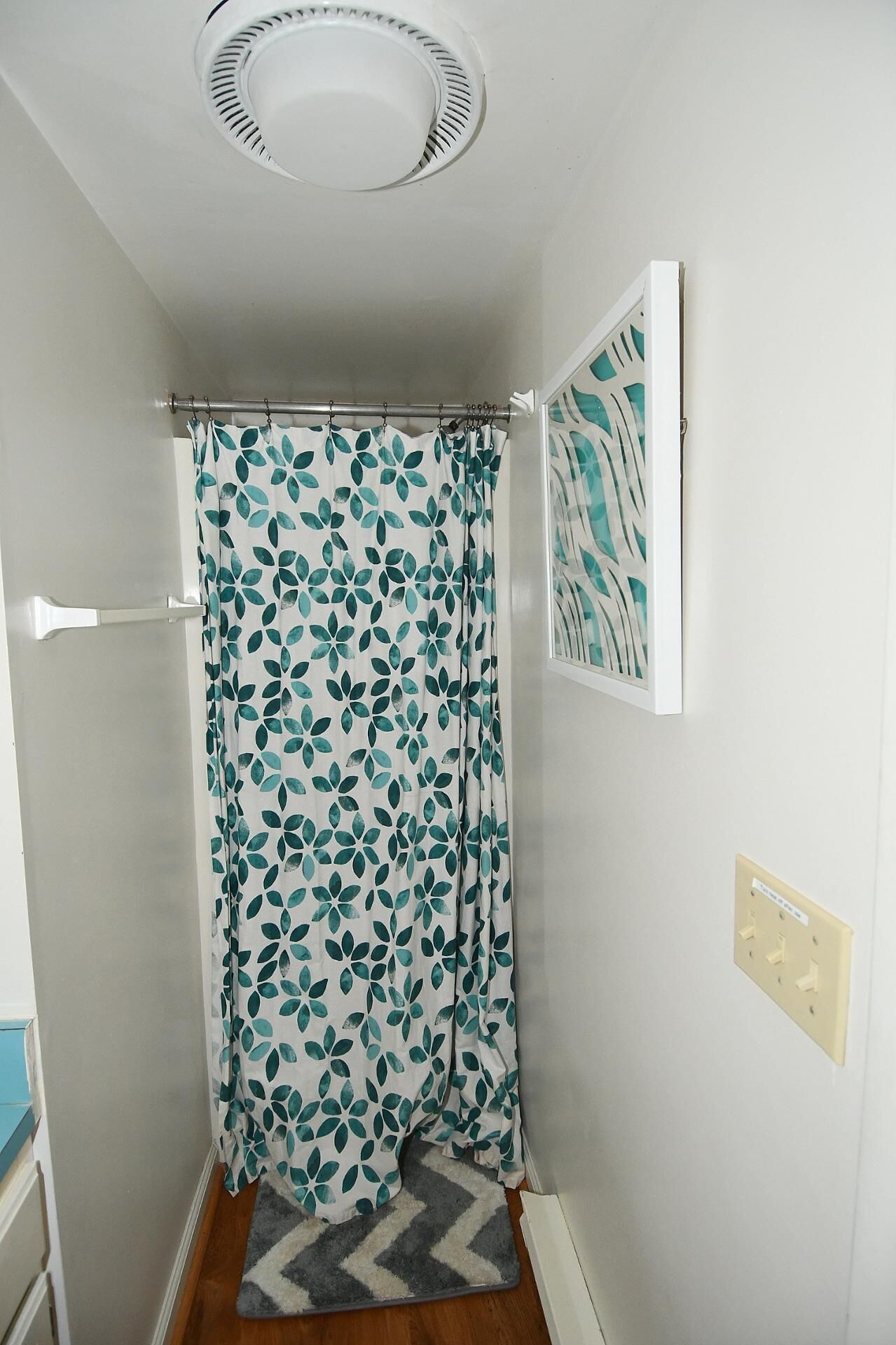 A bathroom with a shower curtain featuring a leaf pattern, a light switch, and a framed picture on the wall.