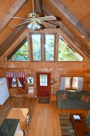 House, Multiple Beds (The Outlook - A Majestic View!) | Living area | Fireplace - The Outlook - A Majestic View! (Berkeley Springs)