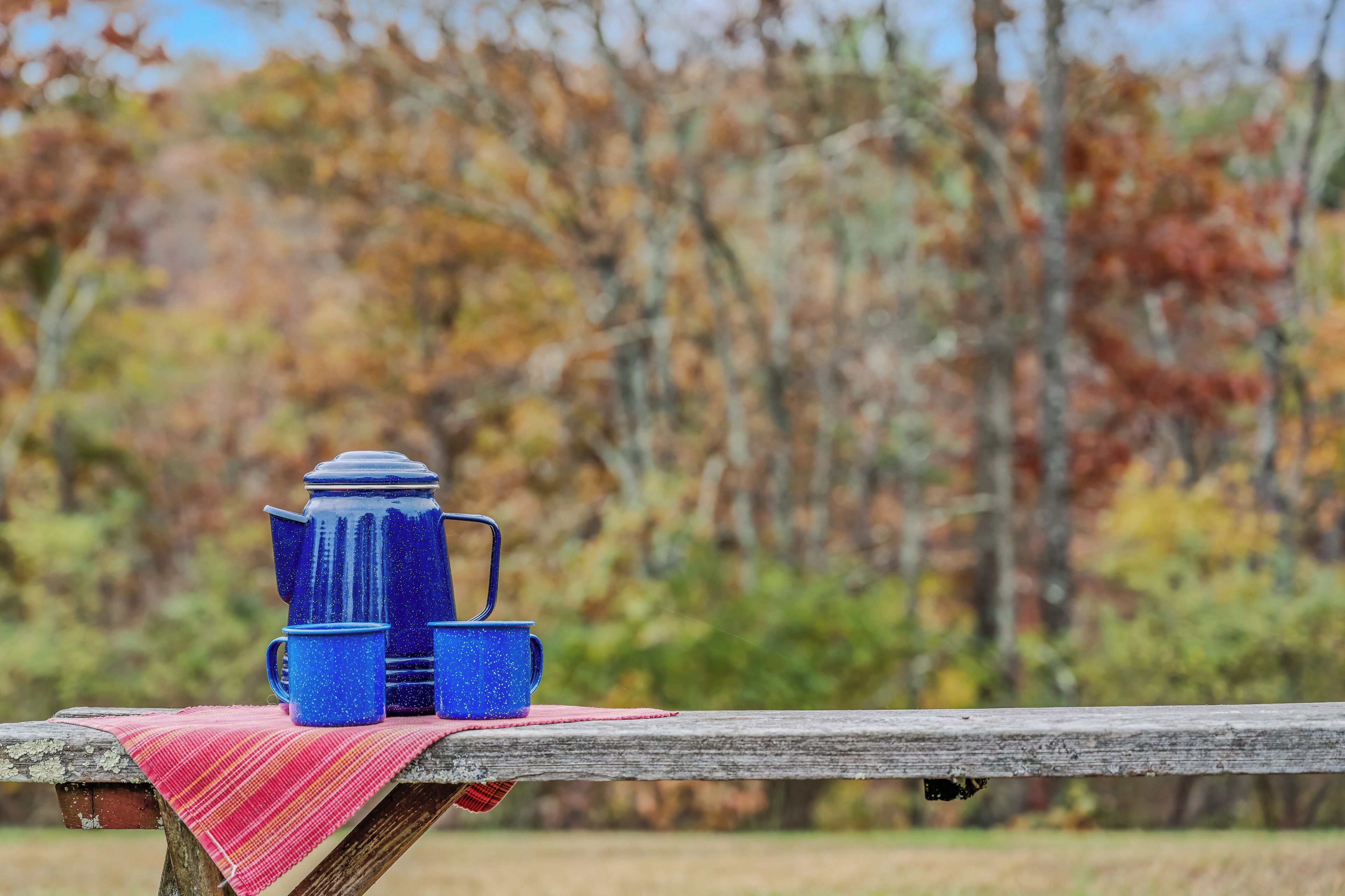Un coin pique-nique avec une théière bleue et des tasses sur une table en bois recouverte d’une nappe rouge.