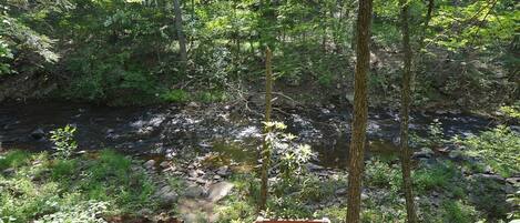 House, Multiple Beds (Rosies Creekside Retreat - 3 BR Escap) | Property grounds