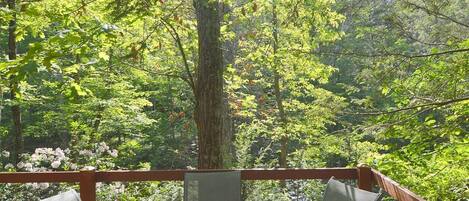 House, Multiple Beds (Rosies Creekside Retreat - 3 BR Escap) | Outdoor dining