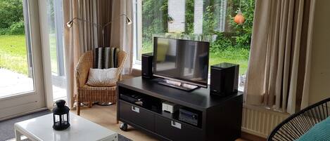 TV, fireplace, books, stereo