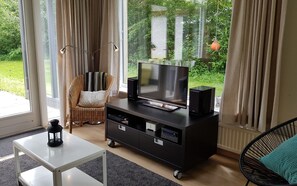 TV, fireplace, books, stereo - Duindoornweg 7 holiday home with large garden on unique spot (Nieuw-Haamstede)