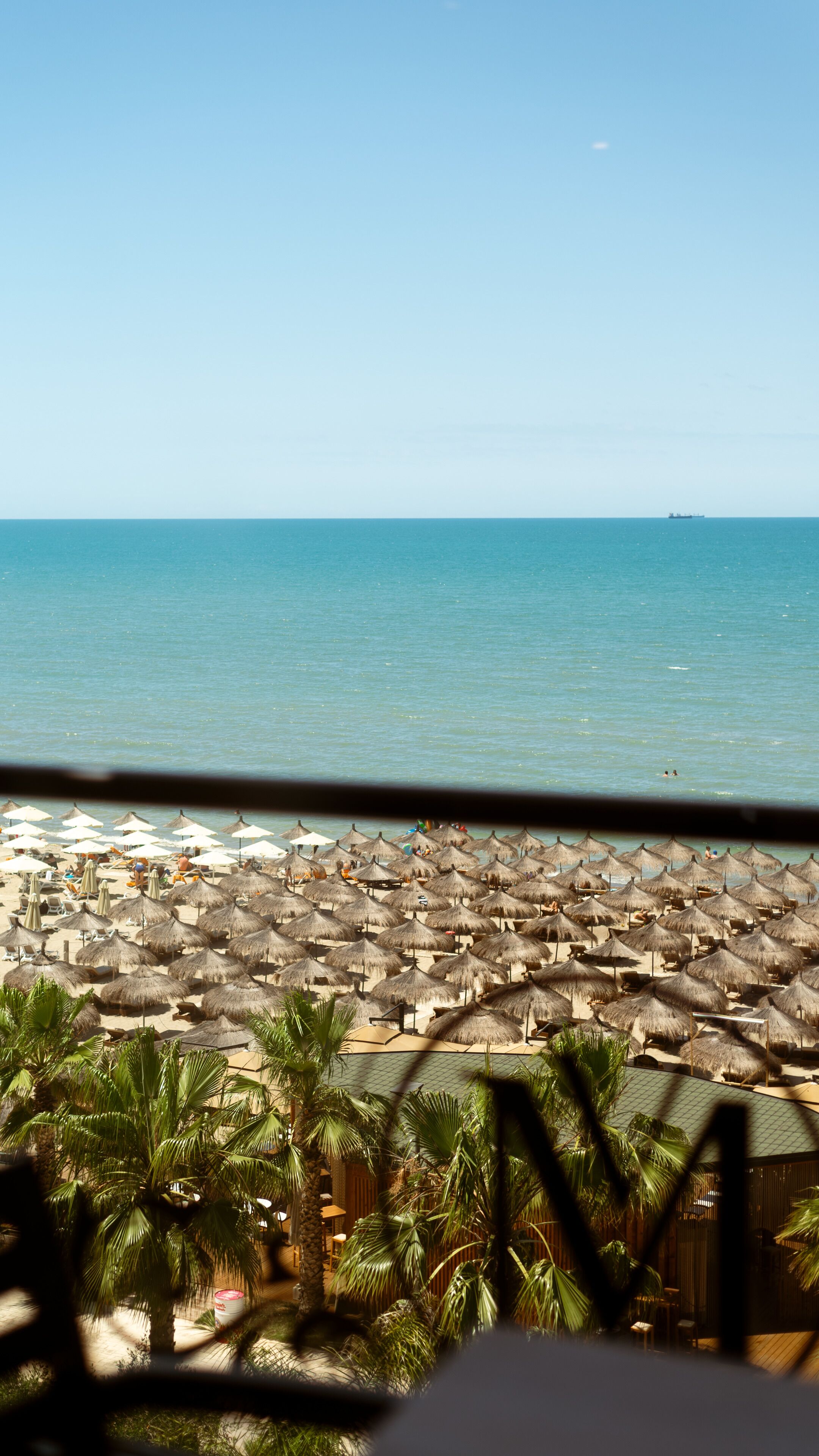 A beach with numerous thatched umbrellas and palm trees, viewed from a shaded area.