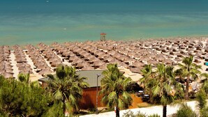 Een strand met rijen rieten parasols en palmbomen, een houten gebouw, en een helder uitzicht op de oceaan.