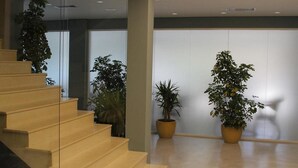 Interior - Dyrrah (Durres)
