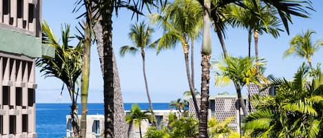 Experience the tranquil ocean views and lush palm trees at this seaside hotel, offering a serene escape.