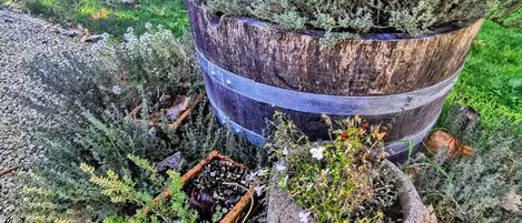 Un jardín con varias plantas en macetas y una jardinera metálica grande.