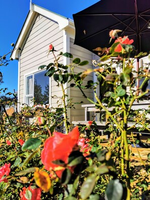 Outdoor dining - Olive Tree Cottage, Martinborough (Martinborough)
