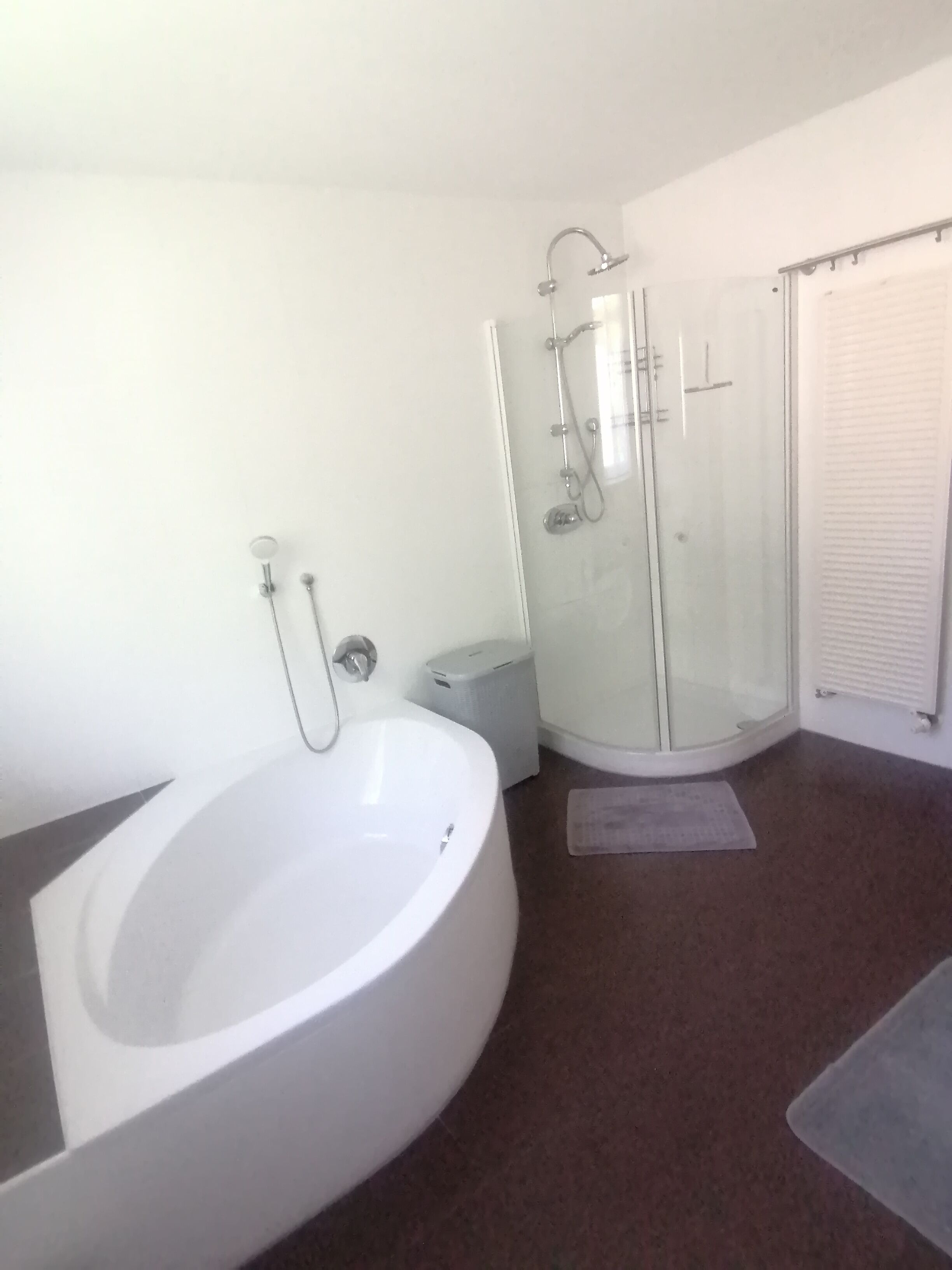 Bathtub, hair dryer, towels, soap