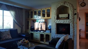 Fernseher, Kamin, DVD-Player, Bücher