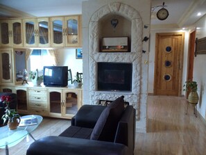 TV, fireplace, DVD player, books