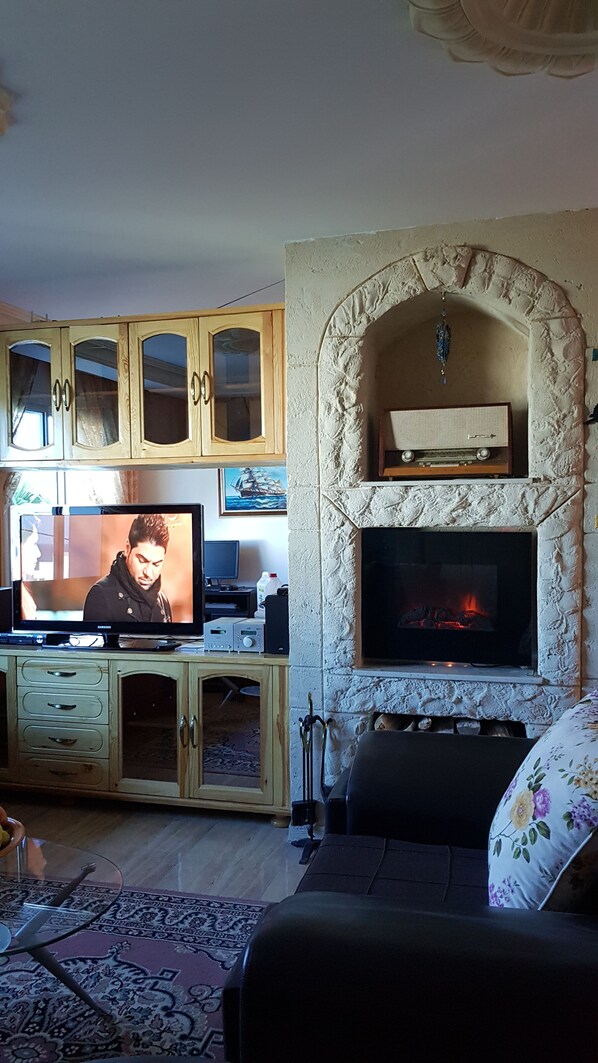 Fernseher, Kamin, DVD-Player, Bücher