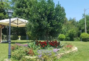 Terrain de l’hébergement 