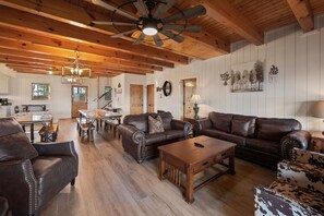 TV, fireplace, video games, DVD player