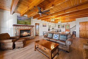 TV, fireplace, video games, DVD player