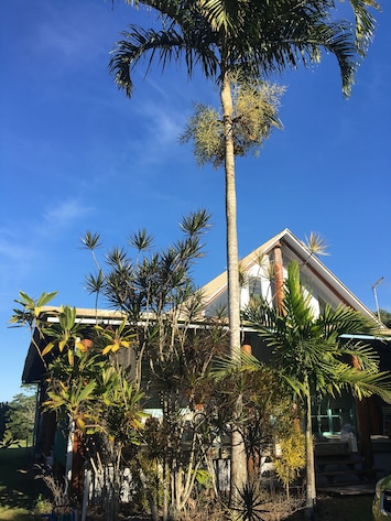 Tropical pole home on acreage 3 min drive from beach.