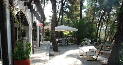 halu! Private Villa w Sea View