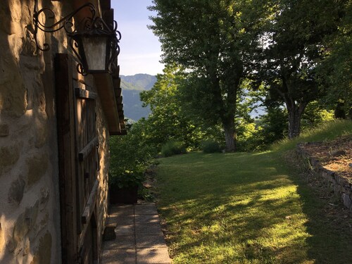 The cottage in the woods