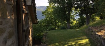  The cottage in the woods