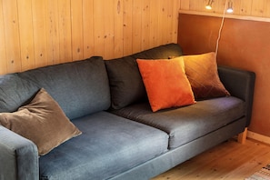 Tv, eldstad och dvd-spelare