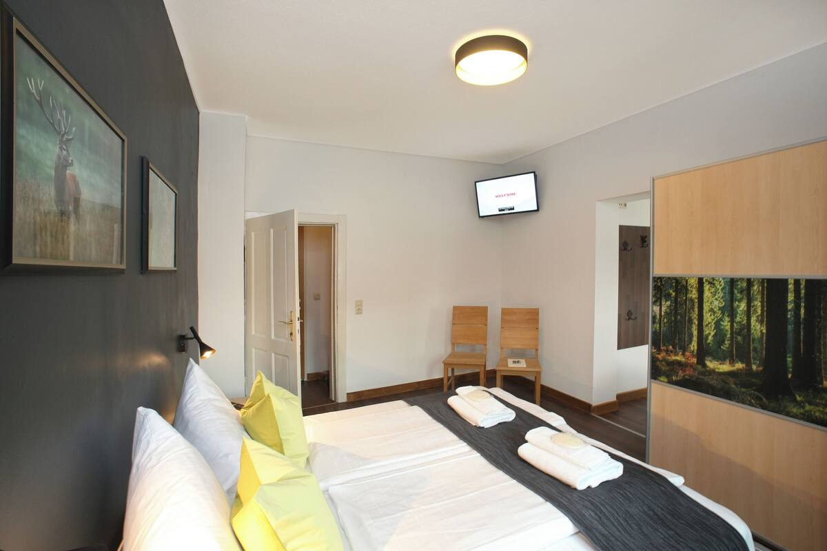 A modern hotel room with a large bed, a flat-screen TV, two wooden chairs, and a forest-themed wall mural.