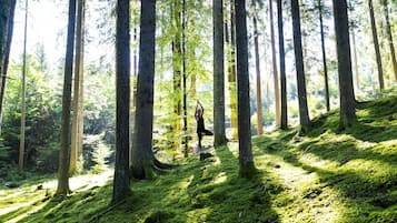 Une zone boisée avec de grands arbres, et une personne debout sur une pente recouverte de mousse.