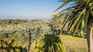 Vista panorámica con vegetación densa y cielo despejado.