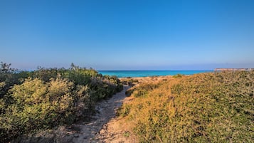 Gần bãi biển, cát trắng, ghế dài tắm nắng, dù trên bãi biển