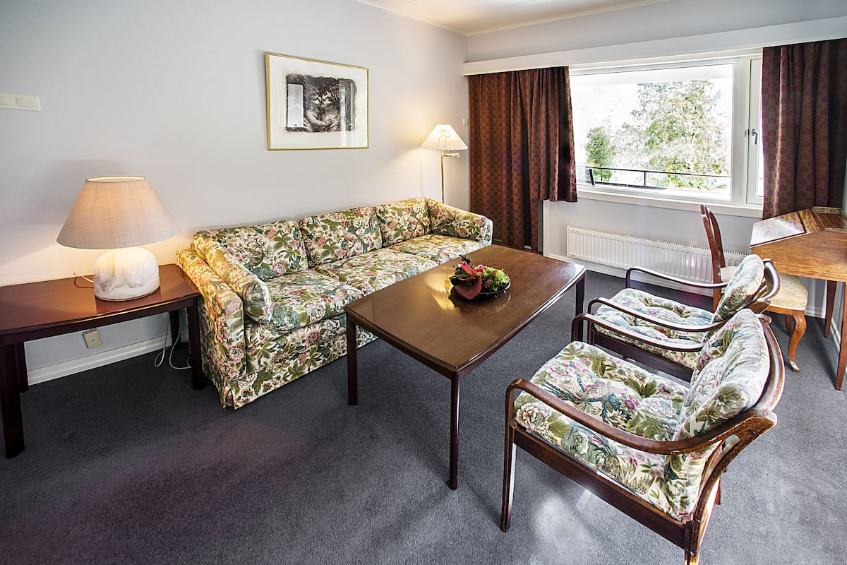 deluxe suite | living room