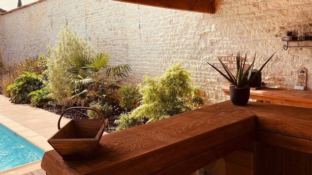 A wooden bench overlooking a pool with various plants and a stone wall in the background.