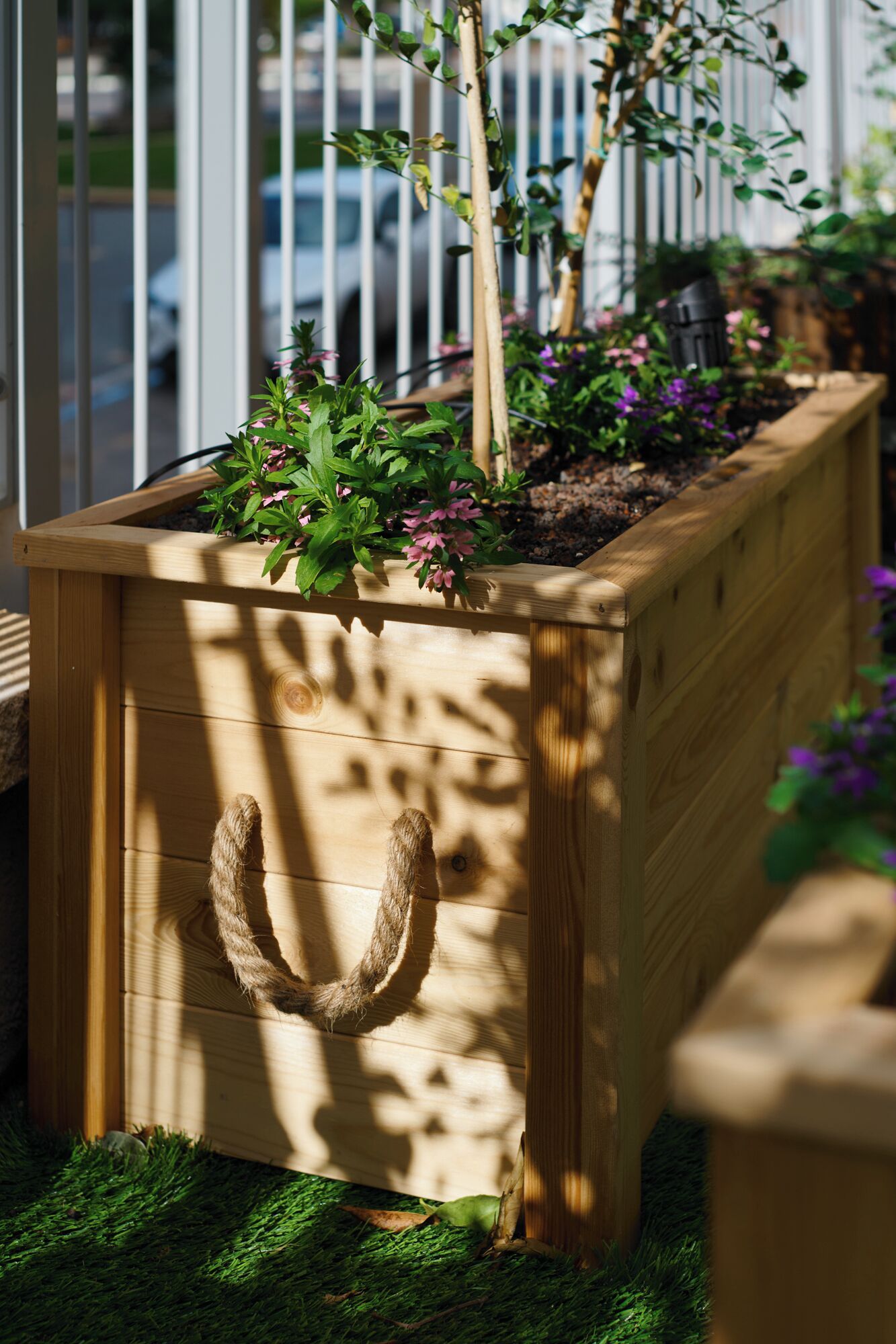 ella suite | view from room