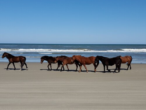 OBX~Sunset View~Gazebo~Bike Path~Walk to Beach~Free Bikes & Kayaks~Super Clean!!
