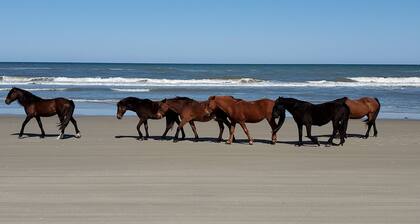 OBX~Sunset View~Gazebo~Bike Path~Walk to Beach~Free Bikes & Kayaks~Super Clean!!