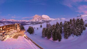 A chalet-style hotel with a stone facade and wooden balconies, surrounded by snow-covered mountains and trees. - Paradiso Pure.Living Vegan Hotel (Castelrotto)