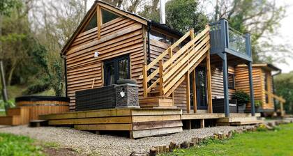 The Star Gazing Tree House