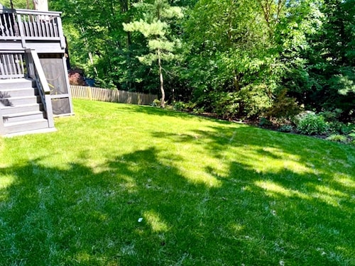 Private 1BR Suite w/ Own Entry · Walk to GMU