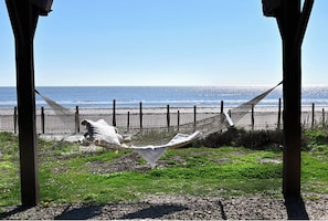 On the beach, sun-loungers, beach towels