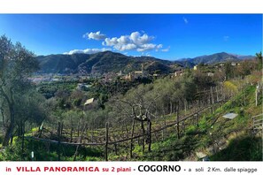 Immagine non classificata, 5 di 9, pulsante