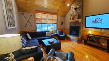 TV connectée, cheminée, jeux vidéo, lecteur de DVD