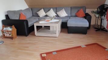 電視、DVD 播放機