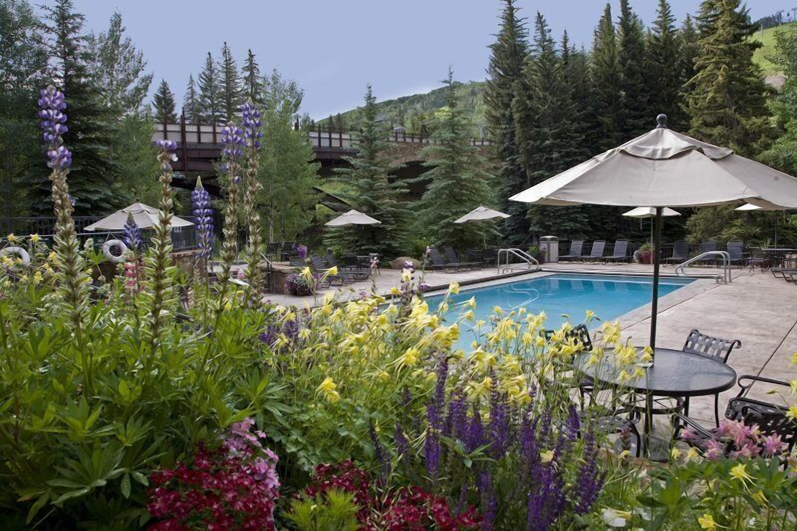 A pool area with lounge chairs and umbrellas, surrounded by various plants and flowers.