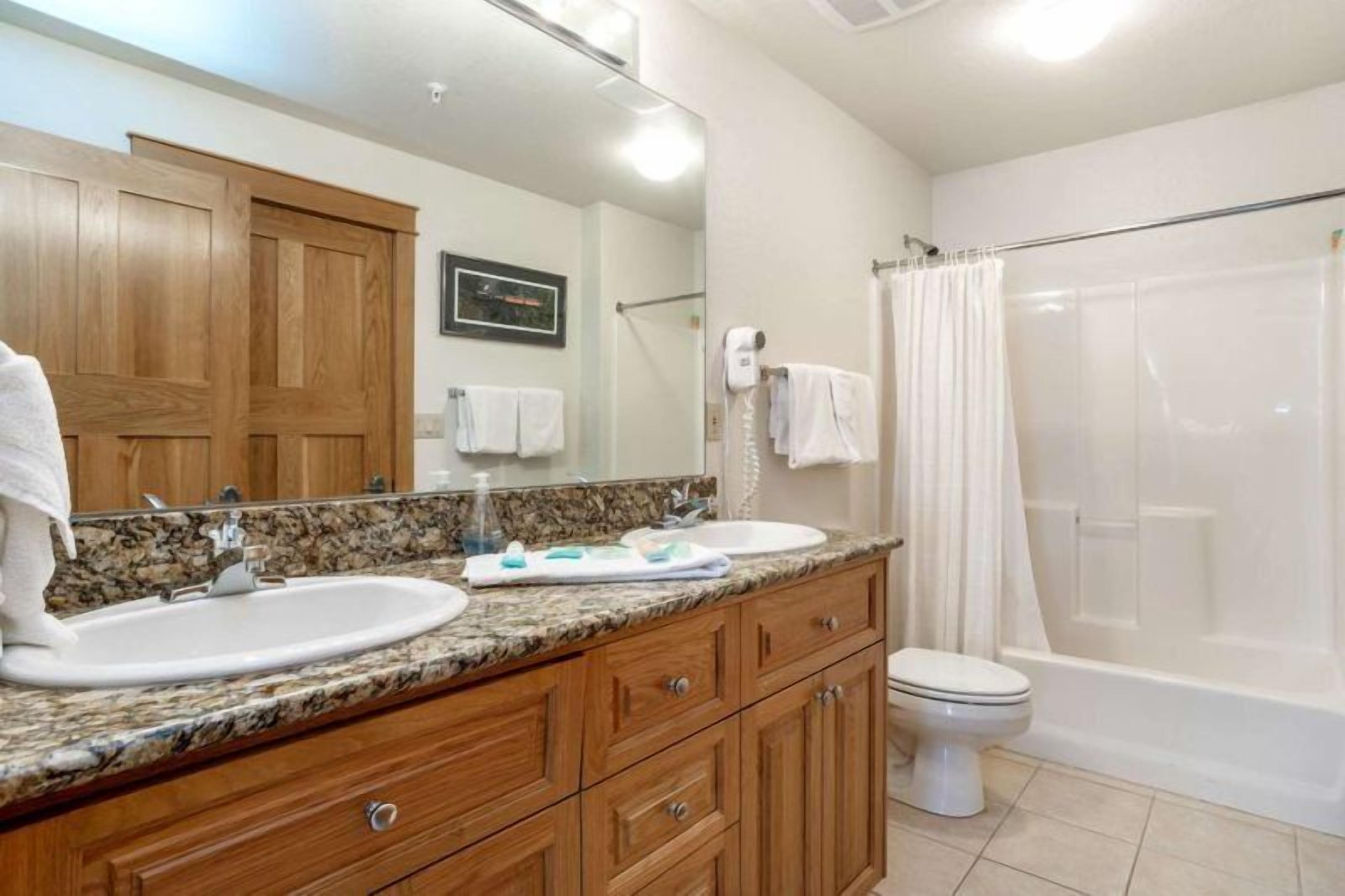 A bathroom with a double sink vanity, a toilet, a shower with a curtain, and a large mirror.