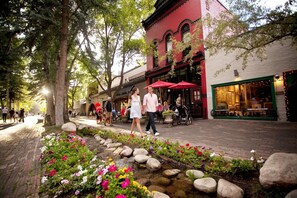 A cobblestone street lined with trees and a flower bed.