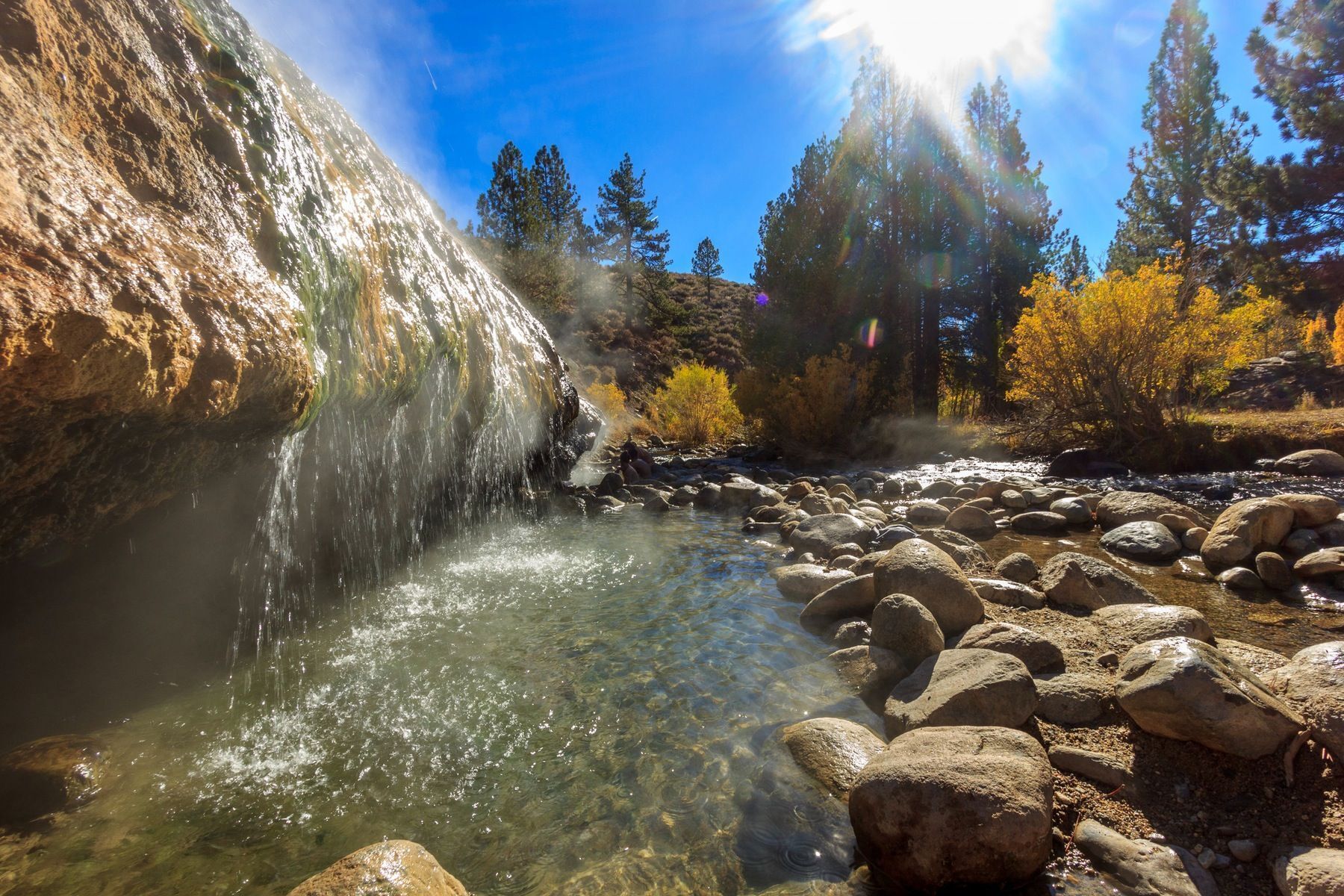 A clear stream with rocks, surrounded by trees and a rocky cliff.