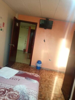 Room, 1 Single Bed