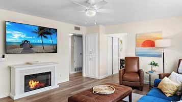 Een televisie, een open haard, videogames en een dvd-speler